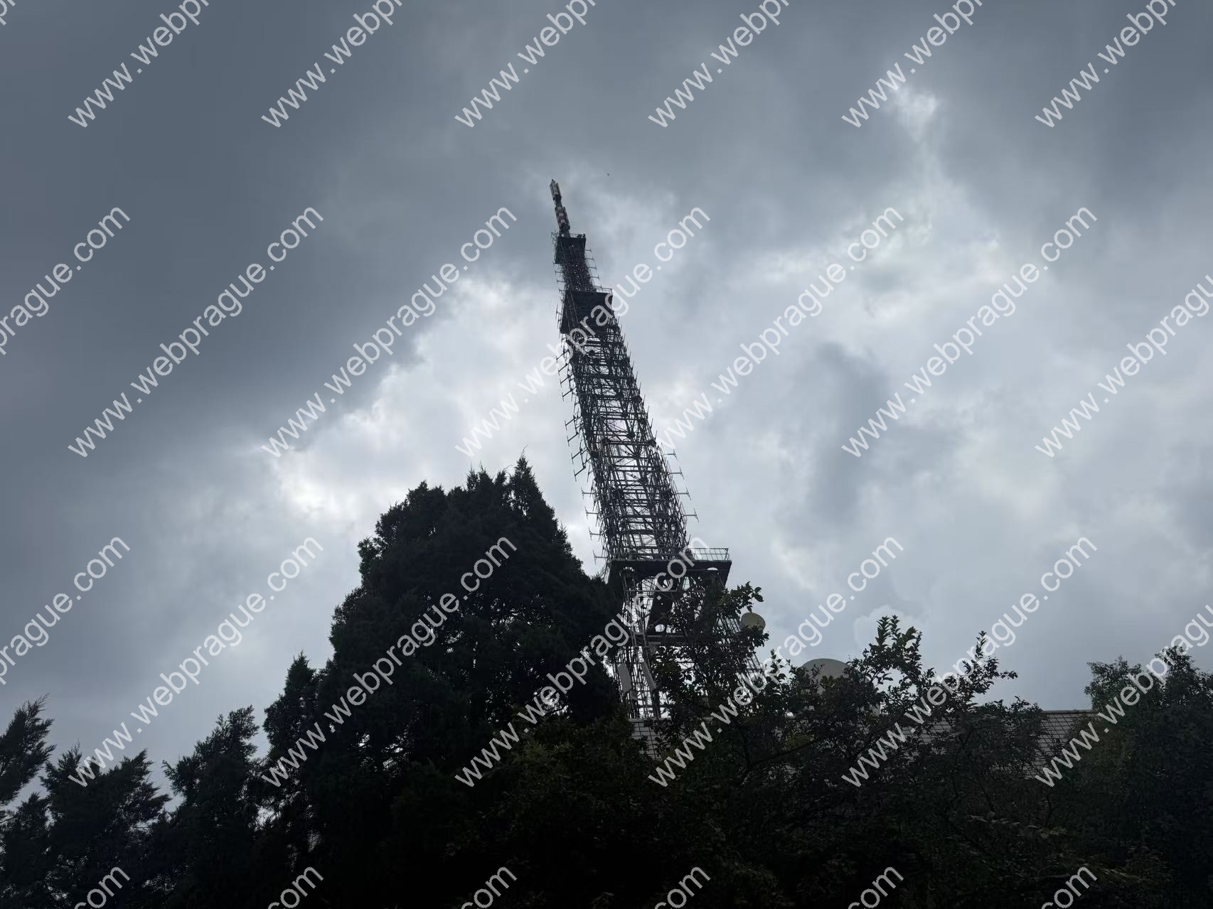 树影·云潮·铁骨
