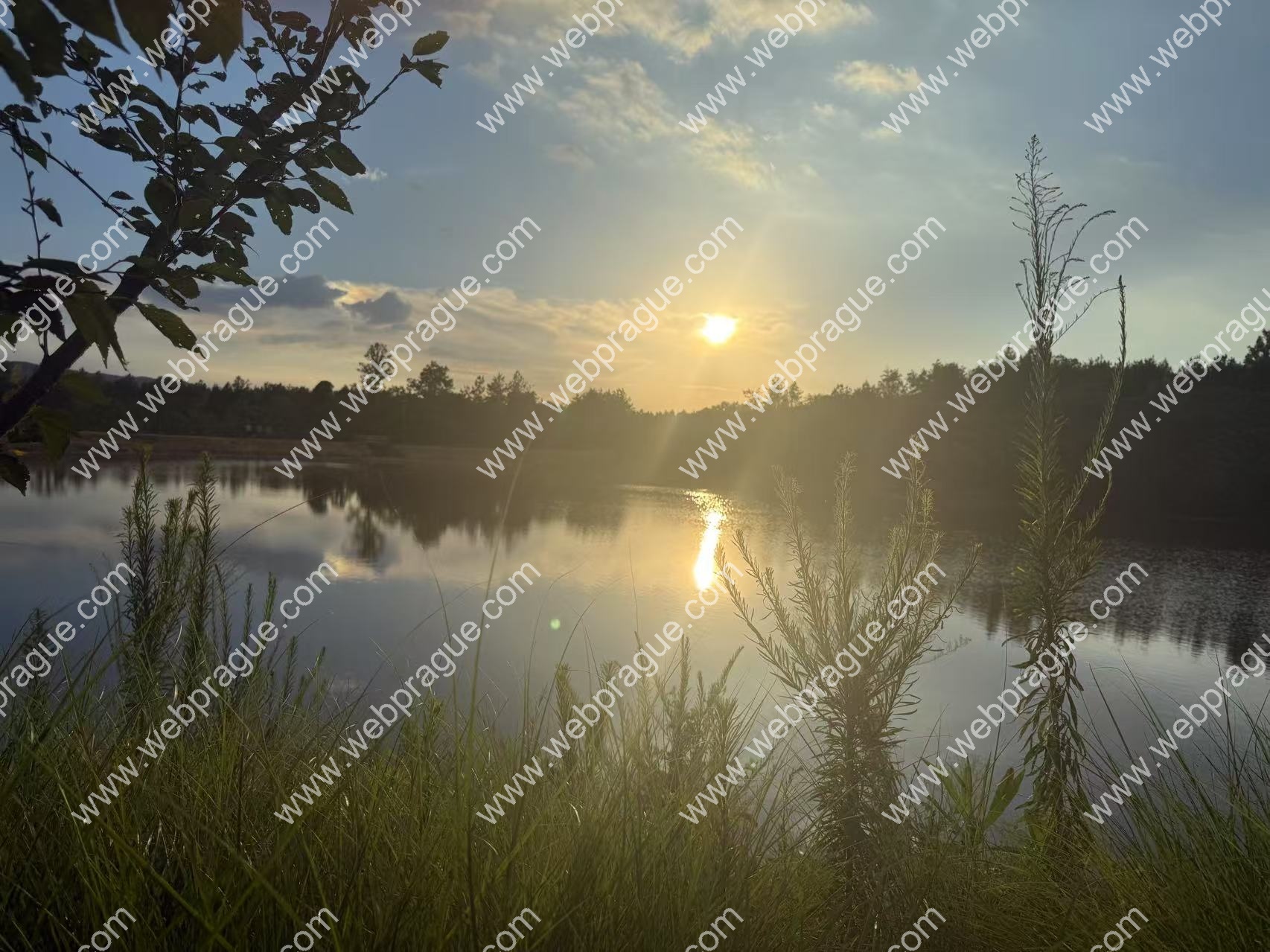 落日熔金映碧波，一湖暮色醉浮生